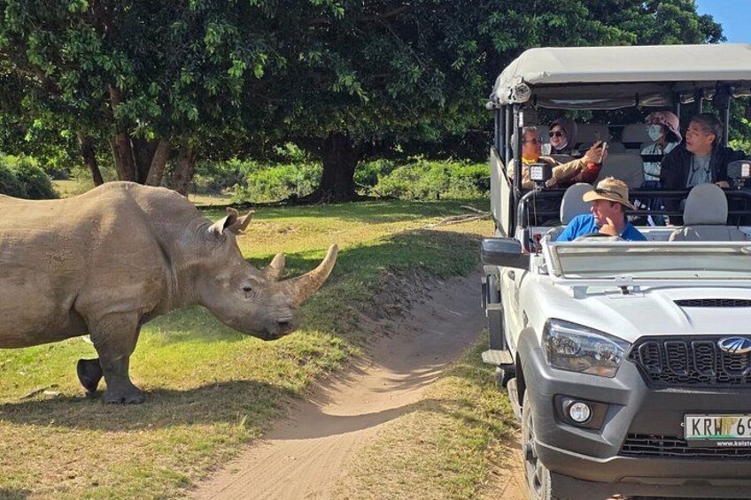 A safari vehicle with passengers observing a rhinoceros on a dirt path. 1