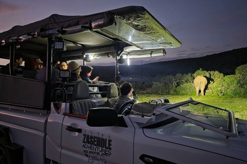 Schotia Tooth & Claw Safari (Open 4x4 Safari Vehicle) 4