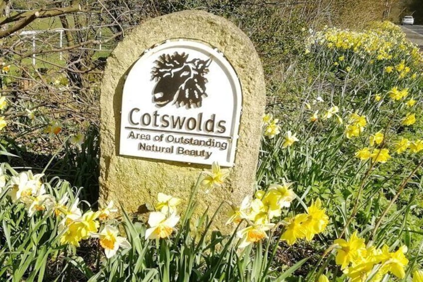 A sign in a garden with yellow flowers. 4
