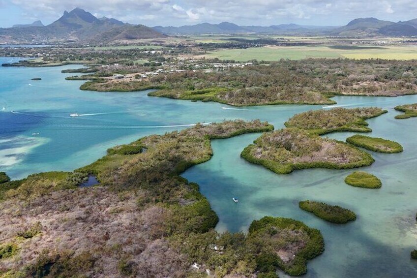 An aerial view of a coastal mangrove area with clear blue waters and green vegetation. 3