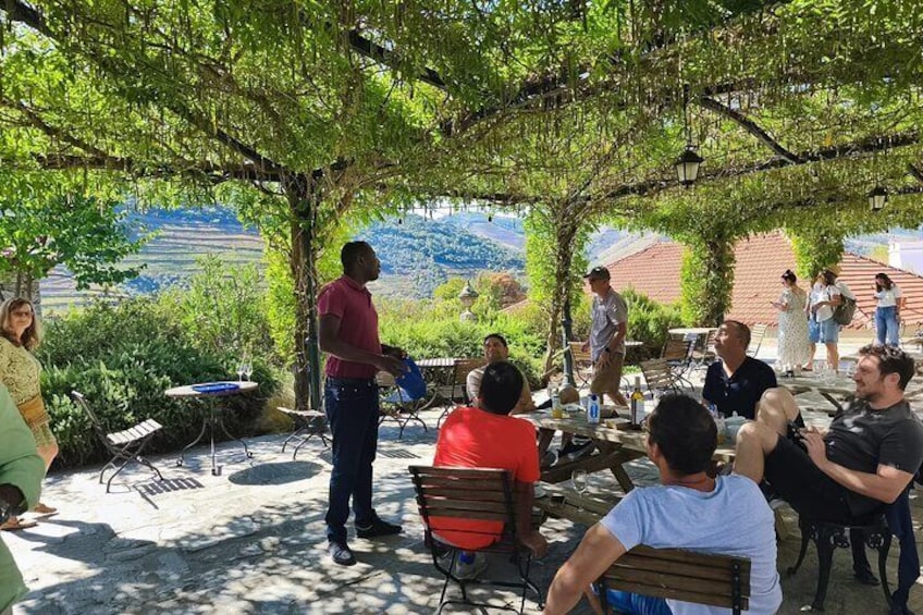 A group of people sitting at tables under a tree, with a scenic view of hills in the background. 2