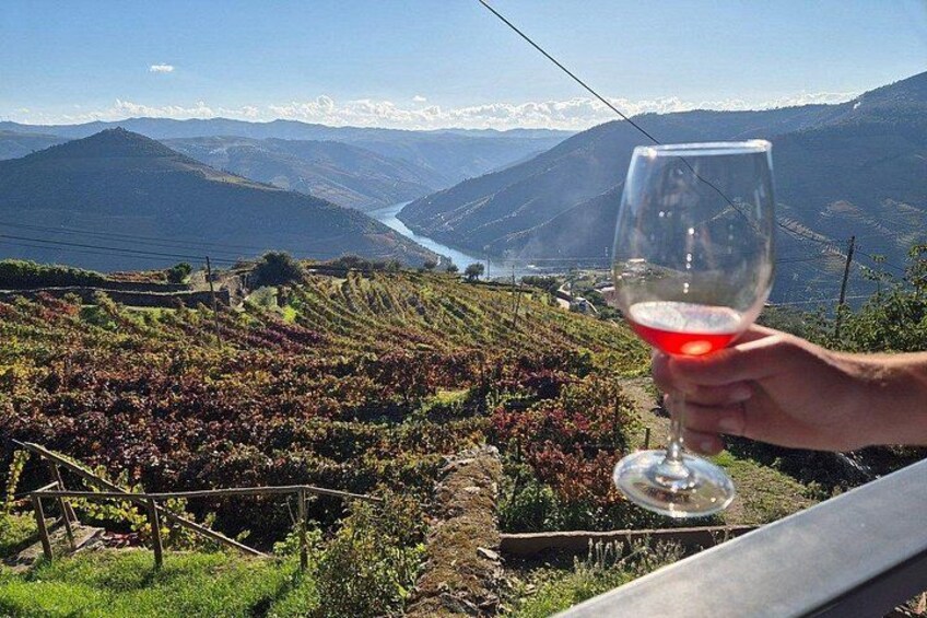 A vineyard with rows of grapevines, a distant lake, and mountains in the background. 3