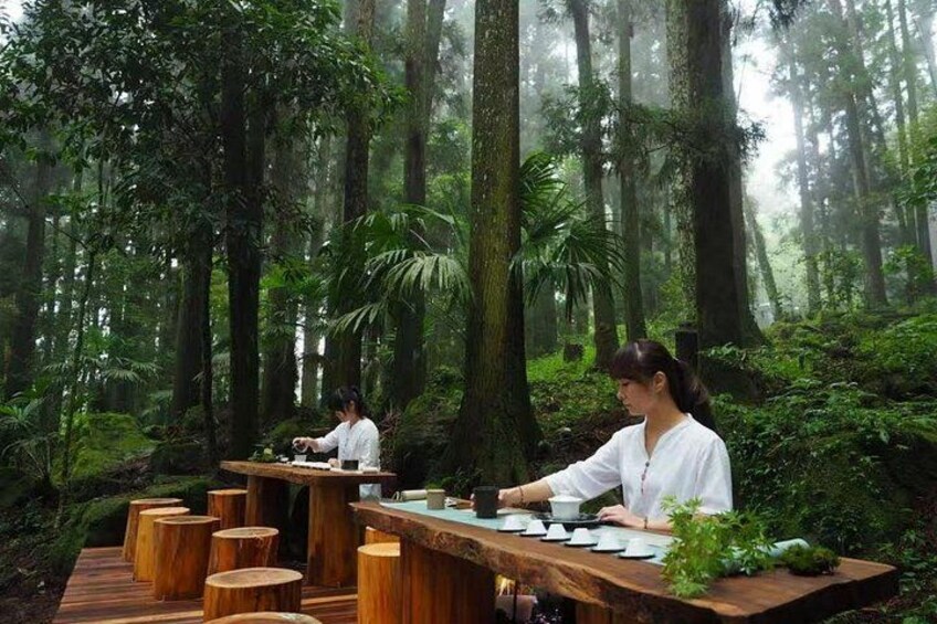 A forest dining area with wooden tables and chairs, surrounded by tall trees and lush greenery. 1