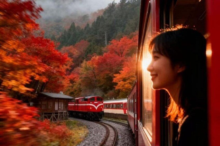A red train traveling through a forested area with autumn foliage. 1