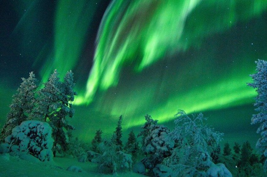 A snowy landscape with trees and the aurora borealis. 4