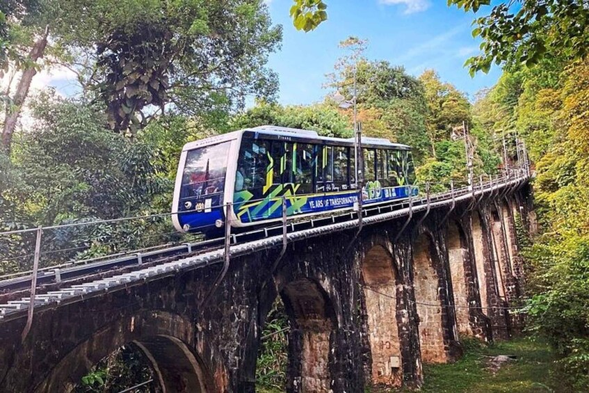A bus on a bridge surrounded by greenery. 1