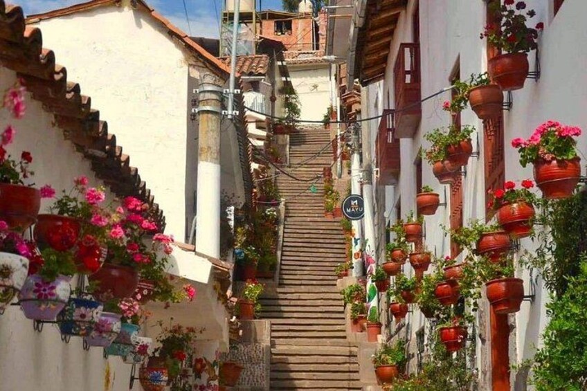Cusco Market San Pedro and Miradors Walking Tour 4