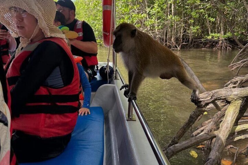 A monkey balancing on a boat railing. 3