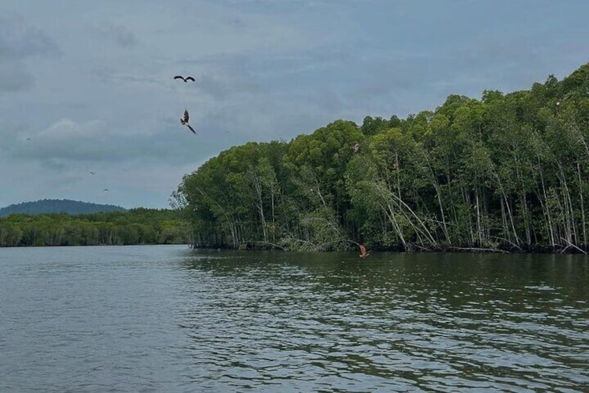 A calm lake with a forested shore, a person fishing, and birds flying in the sky. 4