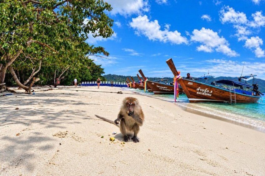 Private Boat Route B by Long Tail Boat 5