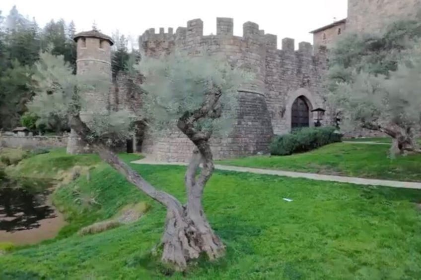 A castle with a moat, a pathway, and trees. 2