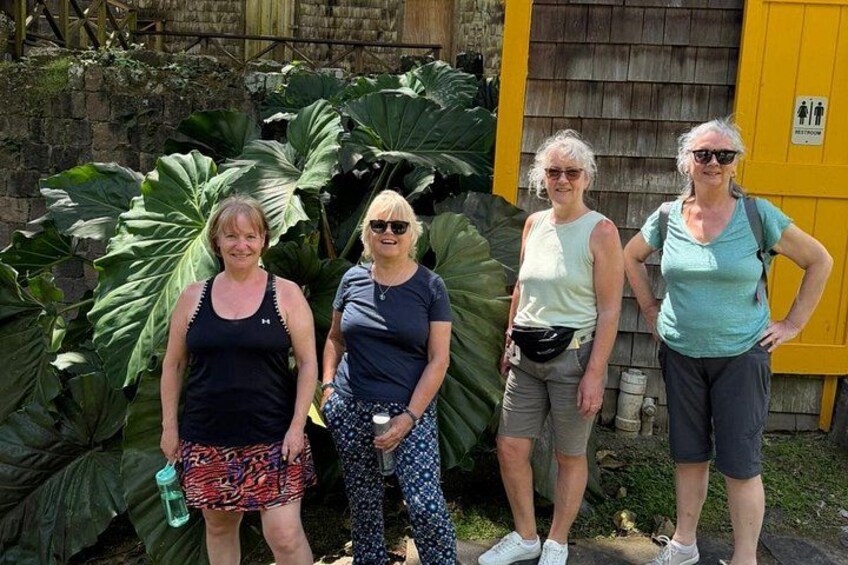 Cuatro personas frente a un edificio amarillo con plantas verdes grandes. 4