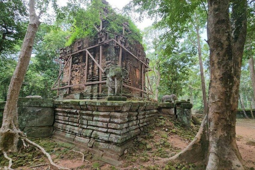 An ancient stone structure surrounded by trees. 5