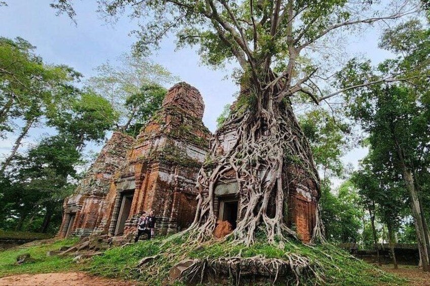 An ancient temple with overgrown roots and a lush green environment. 2