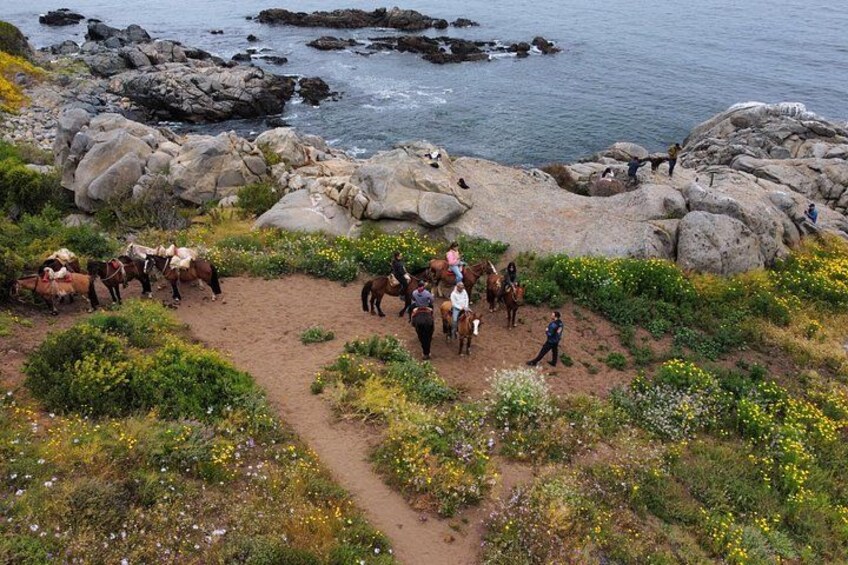 Papudo Tour with Penguins and Horseback Ride 3