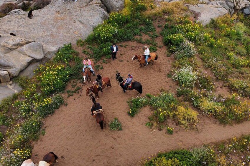 Papudo Tour with Penguins and Horseback Ride 2