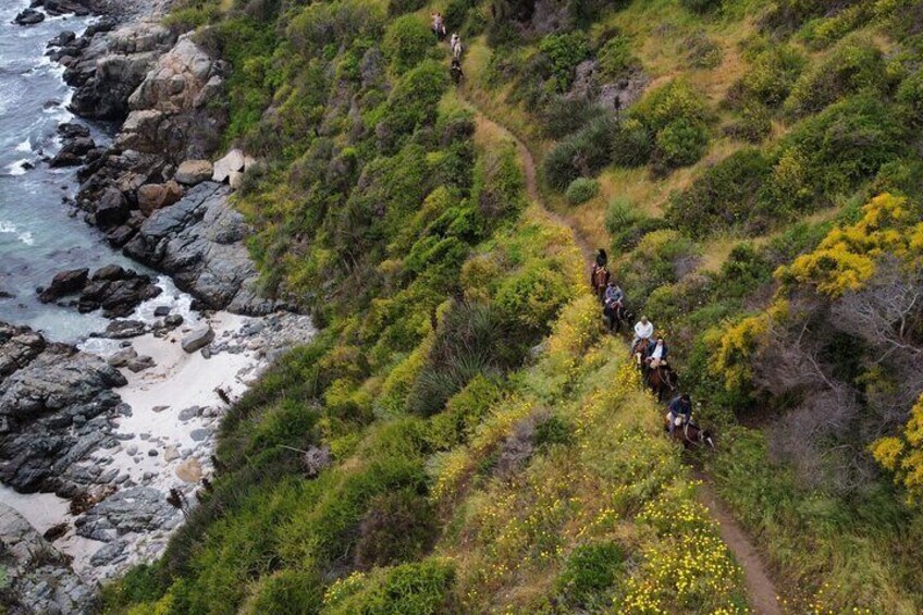 Papudo Tour with Horseback Riding and Penguins 1