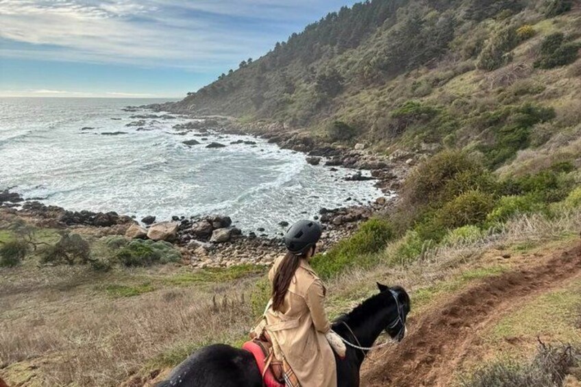 Papudo Tour with Horseback Riding and Penguins 3