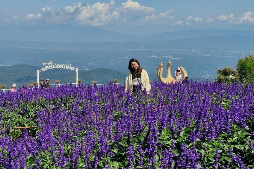 Scenic Mon Jam Hill and Cozy Elely Café Half Day Tour 4