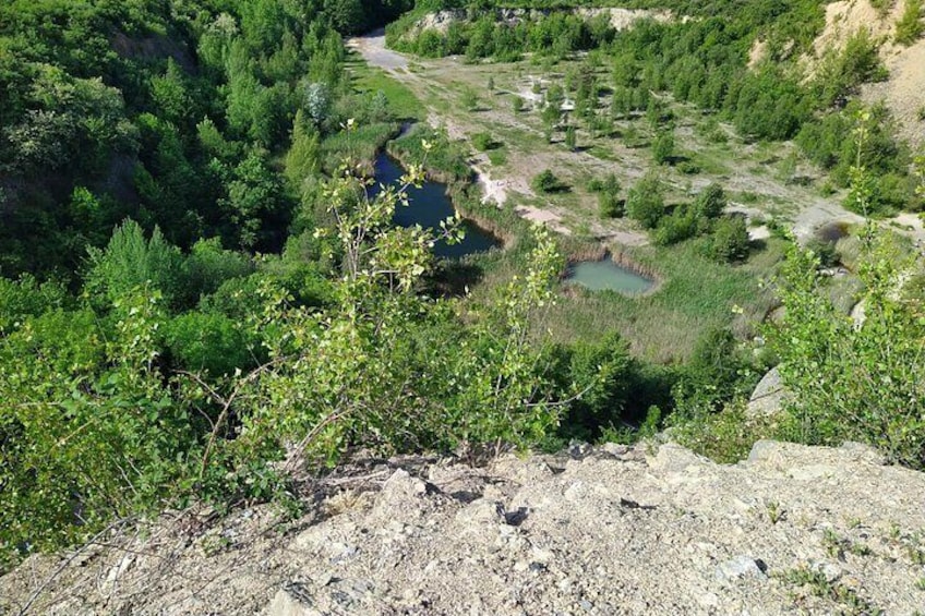 A rocky terrain with dense green vegetation and a small water body. 5
