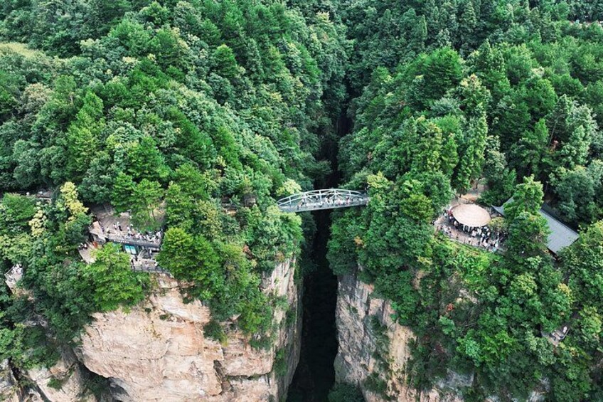 Un puente colgante sobre un cañón con densa vegetación a ambos lados. 2