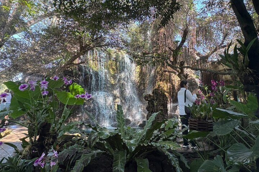 A waterfall in a garden with lush greenery and purple flowers. 2