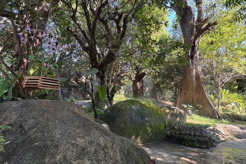 A garden with large rocks, trees, and blooming flowers. 4