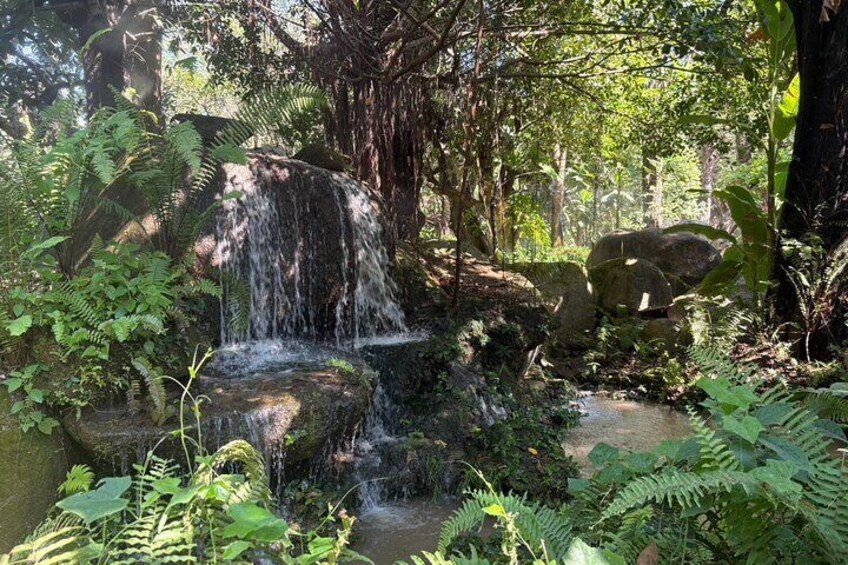 A waterfall in a forested area with dense foliage and rocks. 5