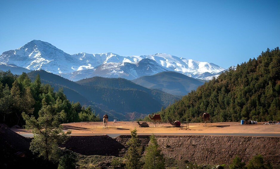 A mountainous landscape with snow-capped peaks, a dirt road, and camels grazing. 5