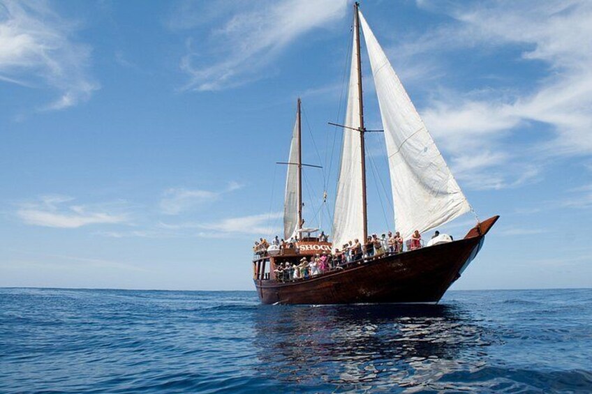 Un velero de madera con velas blancas en el océano. 2