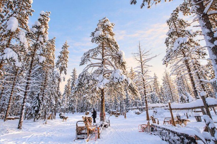 A snowy forest with snow-covered trees and a sled. 2