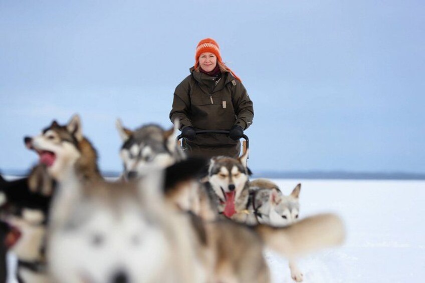 A person in a green jacket and orange hat riding a sled pulled by husky dogs on snow. 1