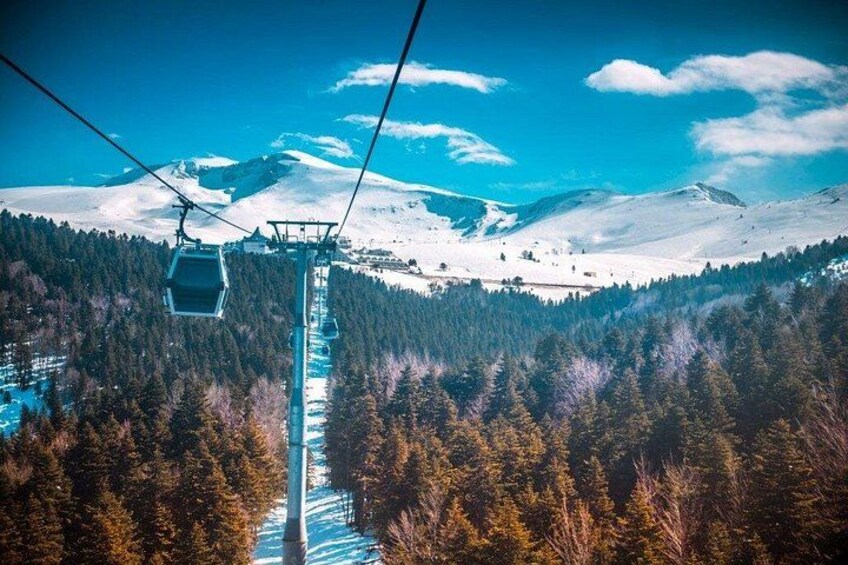 A ski lift cable, a mountain with snow, and a forest. 5