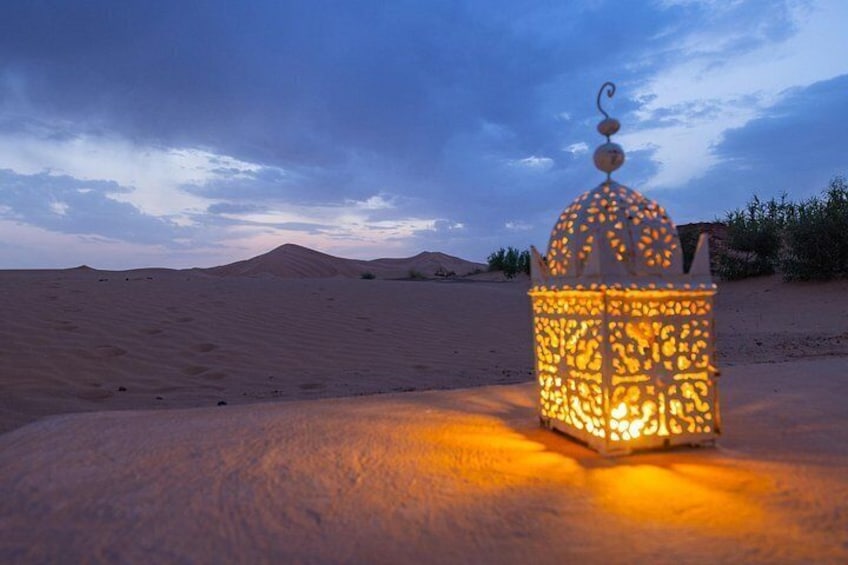 Private - Morning Desert Safari 2