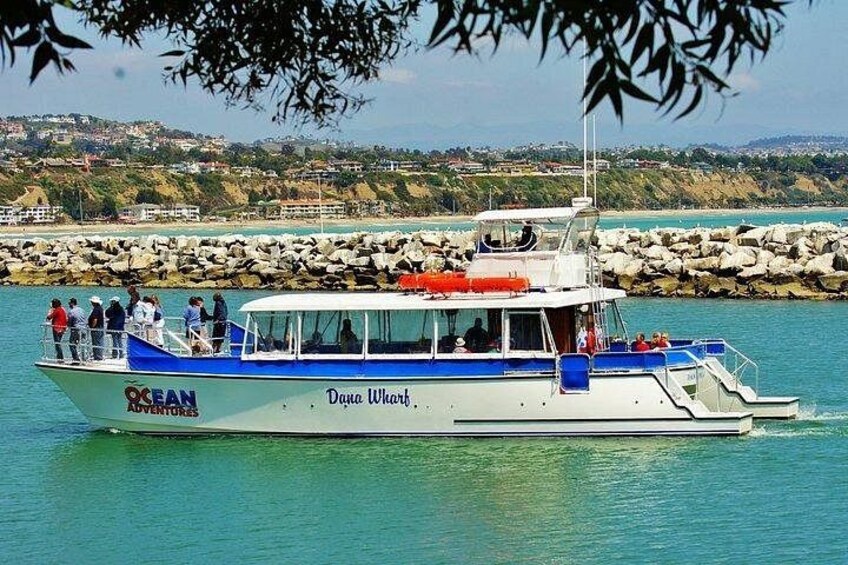 A boat named 'Ocean Adventures' with passengers, docked near a rocky shoreline. 3