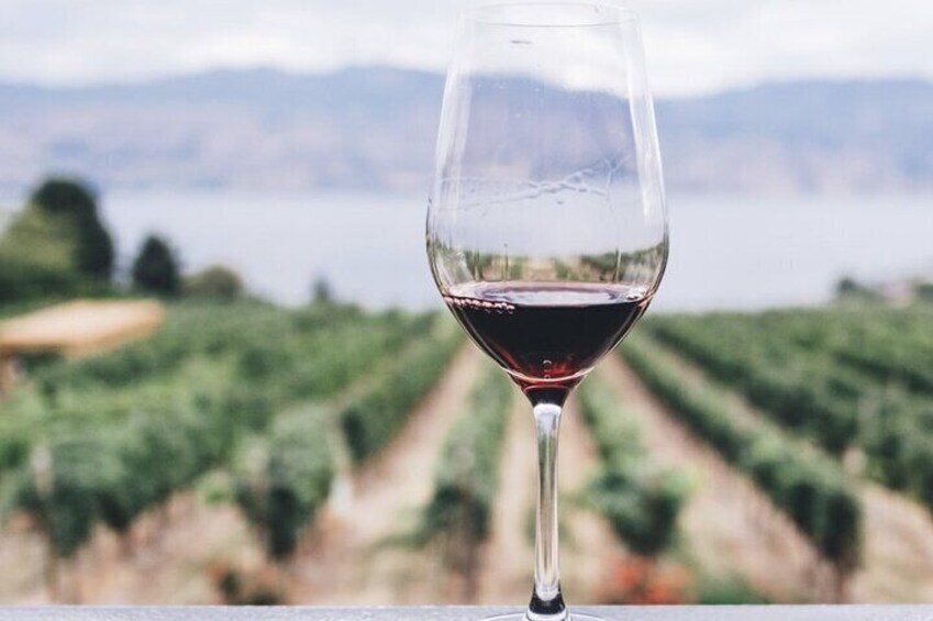 Ein Weinglas mit Rotwein vor einer Weinbergslandschaft. 2