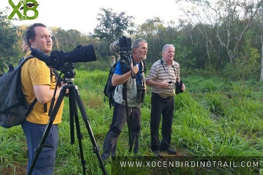 Xocen Birding 