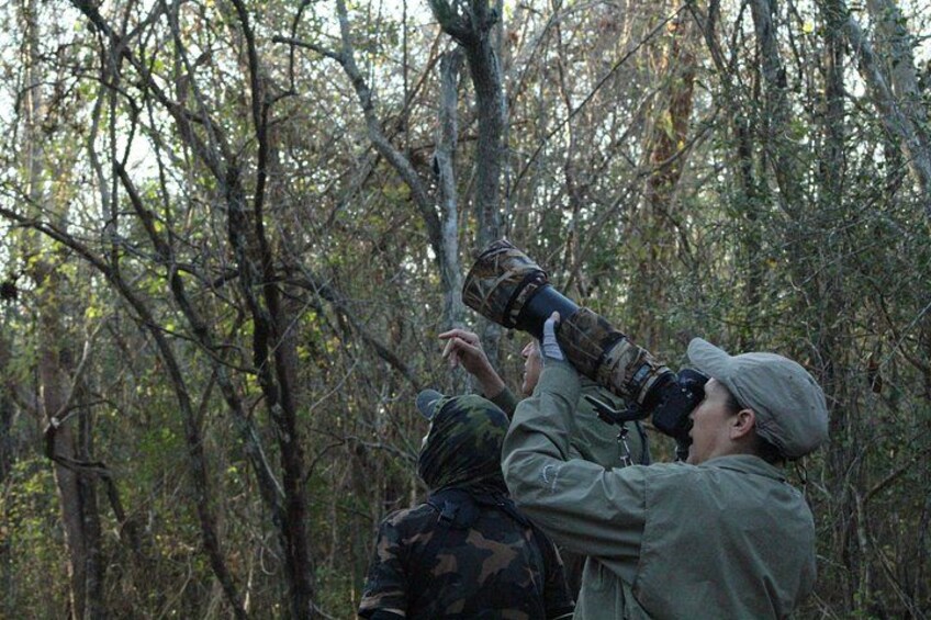 Two individuals in camouflage gear using binoculars in a forested area. 4