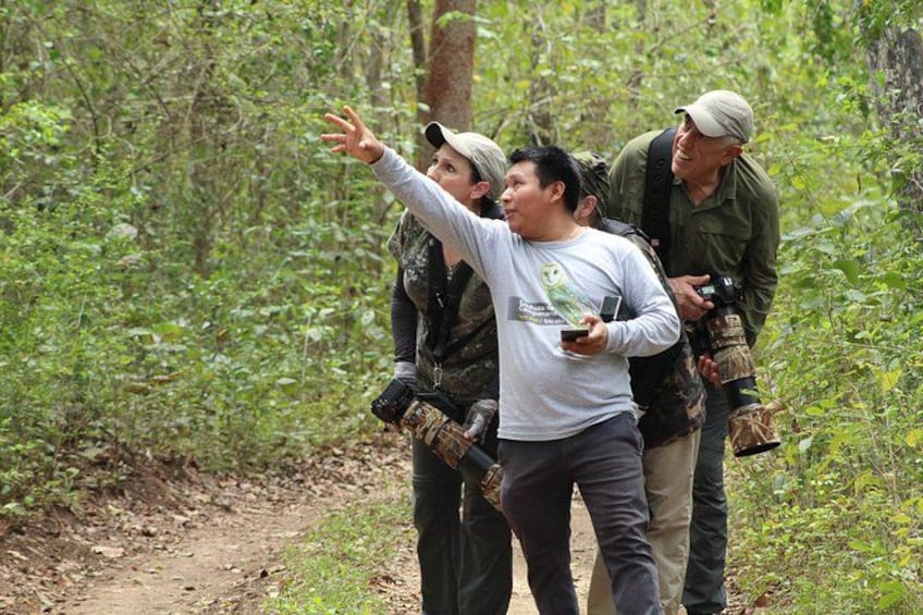 A group of people in a forested area, one person pointing, and another holding a camera. 5