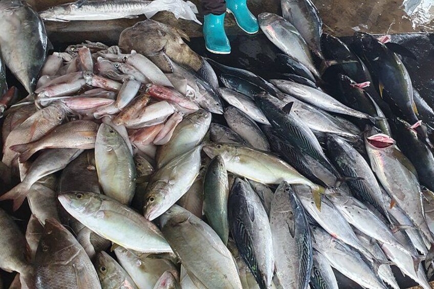 A pile of various fish, including some with red gills, and a pair of blue rubber boots. 5