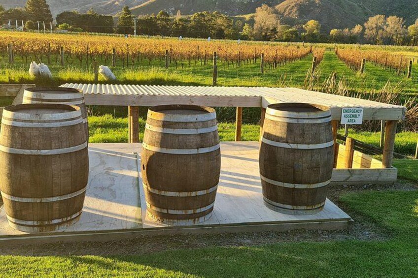Golden hour over the vineyards of Hawkes Bay, sip, savor, and soak in the beauty of New Zealand’s oldest wine region, officially named one of the Great Wine Capitals of the World in 2023. 3