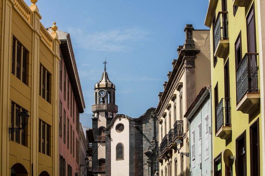 Tenerife: Giants, La Orotava, Icod and Candelaria - Guide included 4