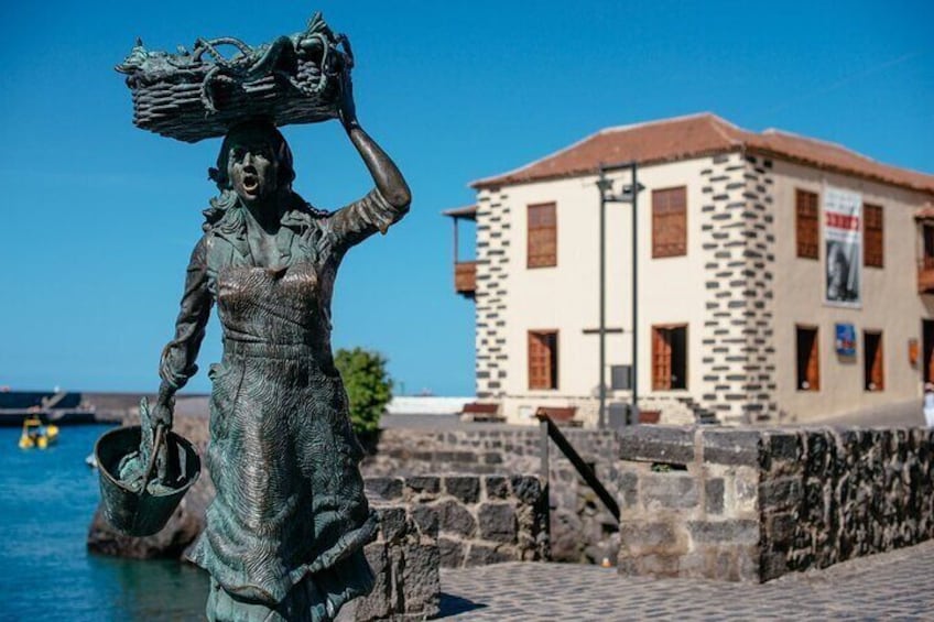 Day Tour with Official Guide Around the Island of Tenerife
