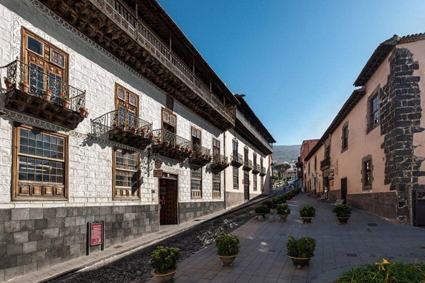 Tenerife: Giants, La Orotava, Icod and Candelaria - Guide included 2