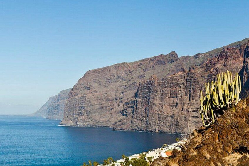 Tenerife: Giants, La Orotava, Icod and Candelaria - Guide included 5
