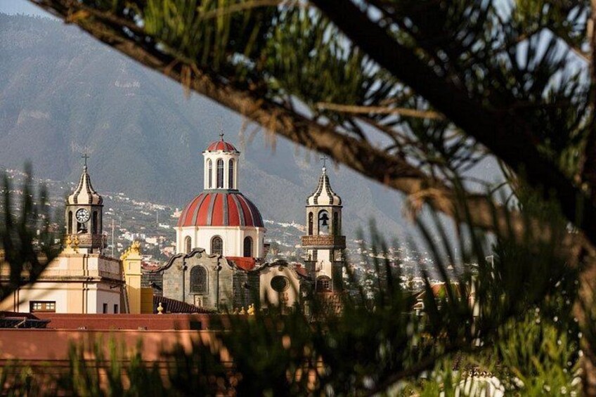 Tenerife: Giants, La Orotava, Icod and Candelaria - Guide included 2