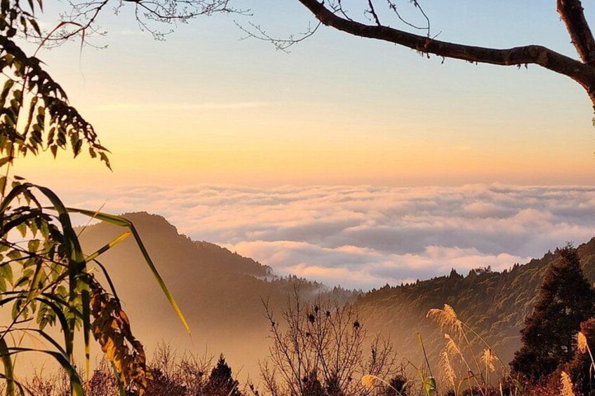 A mountainous landscape with a view of the clouds below and some vegetation in the foreground. 3