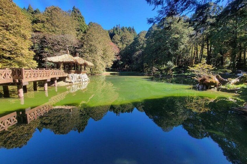 A tranquil pond with a wooden bridge and a gazebo, surrounded by dense forest. 4