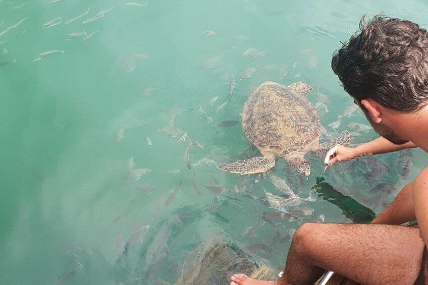 Ilha Grande Nature, Beaches and Local Culture Private Tour 4