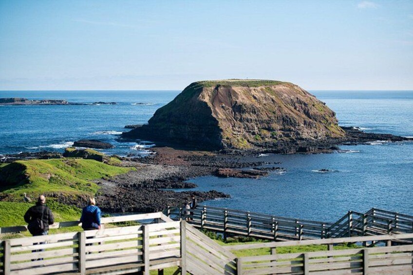 Boardwalk views over The Nobbies, Phillip Island. 4